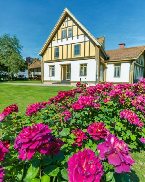 Charming Flower Garden