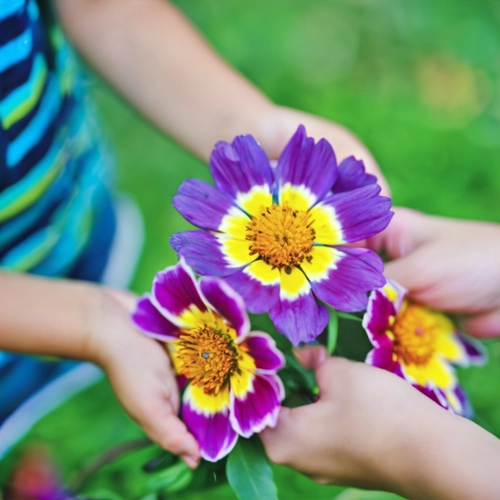 Colorful Flower Exchange