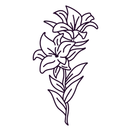 Floral Lily Stroke Vector PNG Art